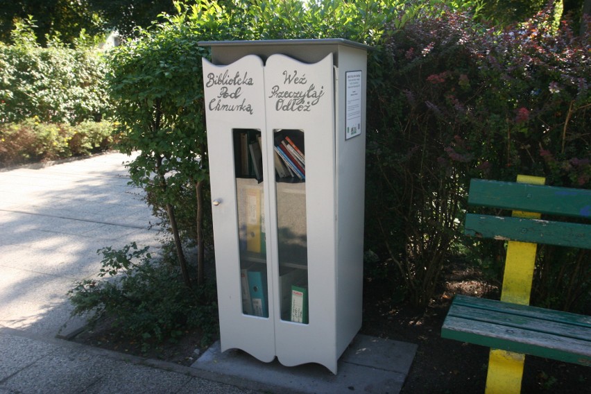 Ostrów. Biblioteka pod chmurką. Szafy biblioteczne mają zachęcać do czytania. Mają zwolenników, ale są też zastrzeżenia