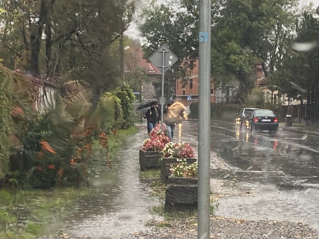 W rejonie sklepu Lewiatan zamiast chodnika są... doniczki z kwiatami