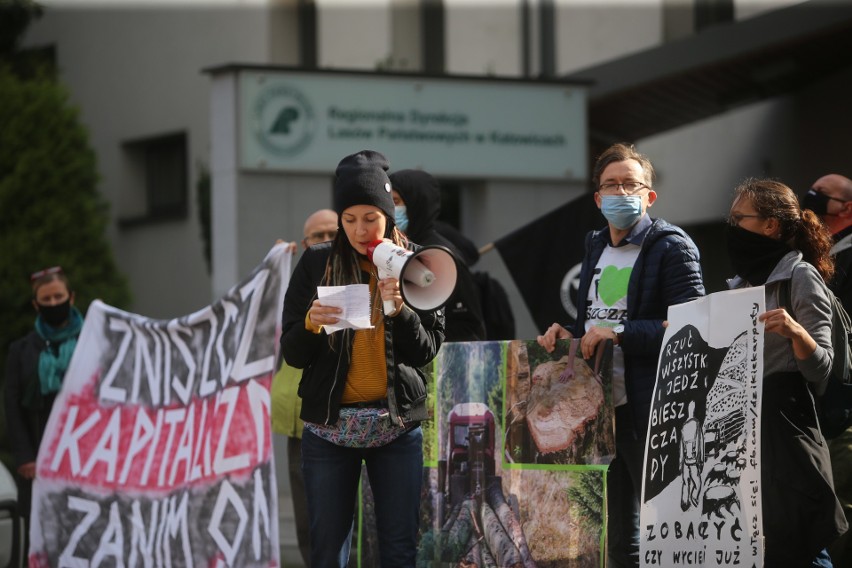 Protest ekologów w Katowicach. “Nie oddamy Bieszczad piłom”....