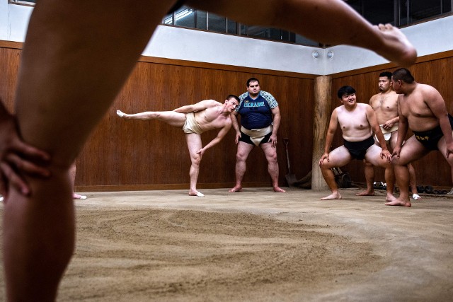W Japonii trenuje m.in. ukraiński zawodnik Oleksandr Weresiuk, którego znają polscy kibice sumo