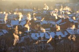 Przyczyna smogu tkwi również w budynkach