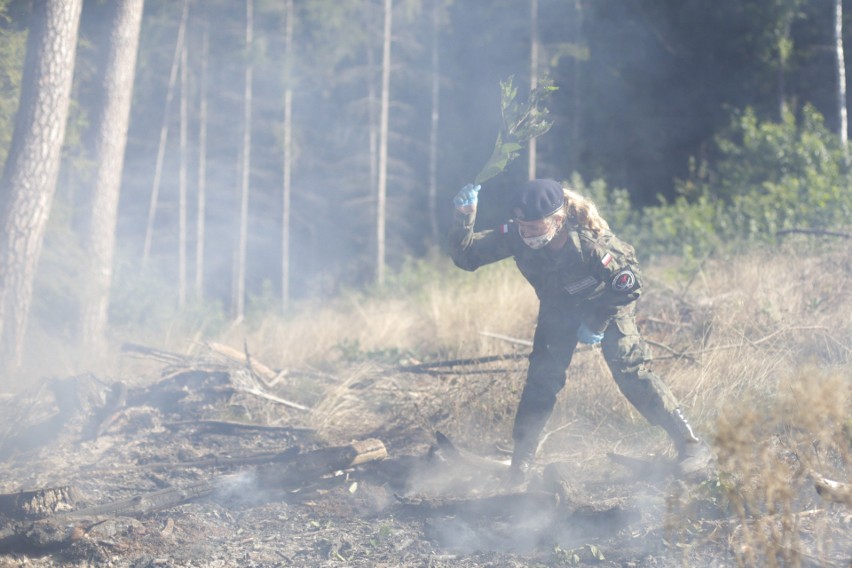 Młodzież ze Słupska sprzątała las i musiała gasić pożar