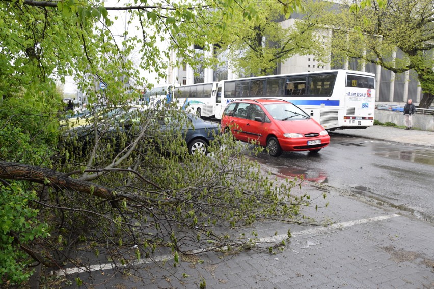 Częstochowa: po wiosennym ataku zimy uzupełnienie...