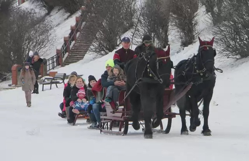 Na razie o takich kuligach, jak w poprzednich latach możemy...