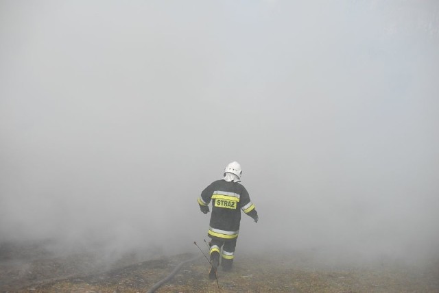 Pożar w Makówce w powiecie Hajnowskim pochłonął 18 tys. indyków