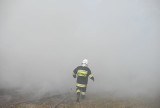 Pożar w Makówce. Spaliło się 18 tysięcy indyków