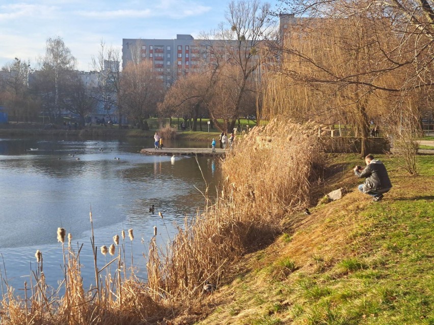 Park Kachla w Bytomiu w Nowy Rok. Pogoda 1 stycznia 2023 jak wiosną!
