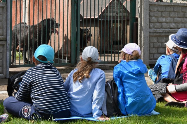 Schronisko dla Zwierząt odwiedziła grupa dzieci przebywających na półkoloniach.