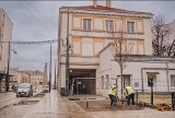 Zieleń miejska w Łodzi. W mieście zaczęło się sadzenie drzew. W 2024 roku przybędzie ich 25 tysięcy