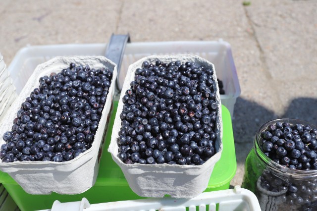 Pierwsze jagody na kieleckich bazarach. W poniedziałek, 26 czerwca te piękne owoce oferowano w cenach 20-25 złotych za litr.