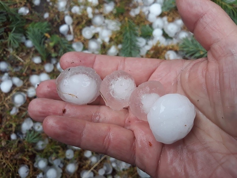 Grad, który spadł w Koniemłotach był takich rozmiarów....