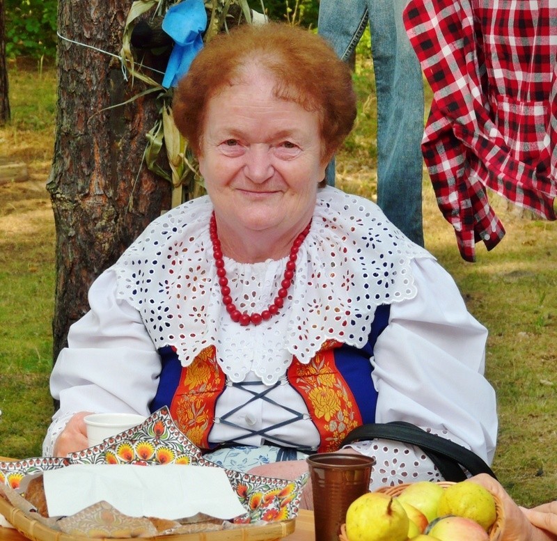 XV Piknik Śląski w lublinieckim DPS-ie Zameczek