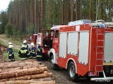 Ćwiczenia straży pożarnej. Pożar lasu w okolicach Rąbina [zdjęcia]