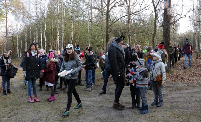 "Noworoczny Spacer z Leśniczym" w Grudziądzu