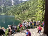 Tłumy w Tatrach. Rekord padł w czasie ostatniego długiego weekendu sierpniowego