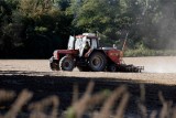 Ciągnik zahaczył o linię energetyczną w Grabówcu k. Brodnicy. Zginął mężczyzna, dwie osoby w szpitalu