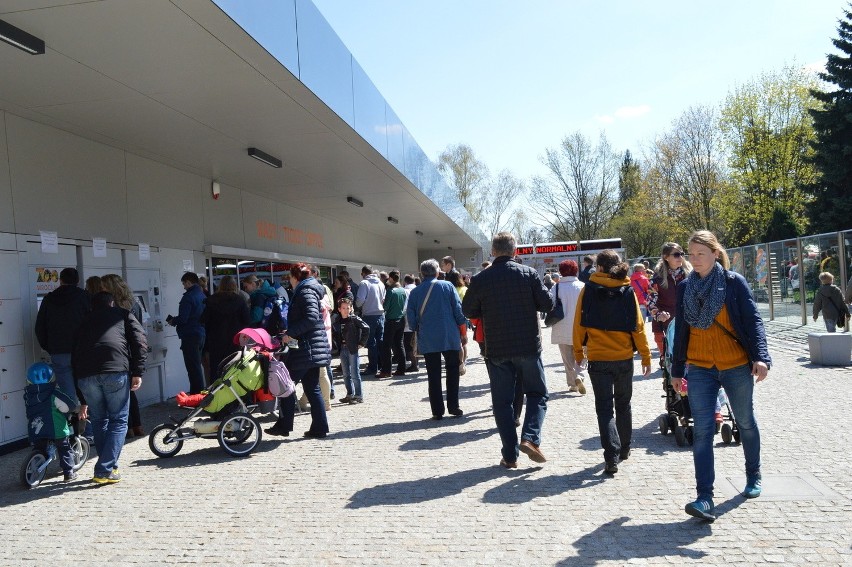 Po podwyżce cen biletów znacznie spadła liczba odwiedzających zoo (ZDJĘCIA)