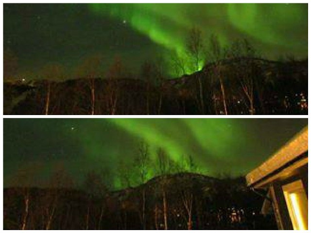 Zorza polarna widziana z Alty w Norwegii.