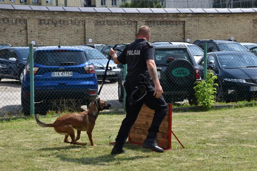 Szkolenie przewodników i psów służbowych na terenie Aresztu...