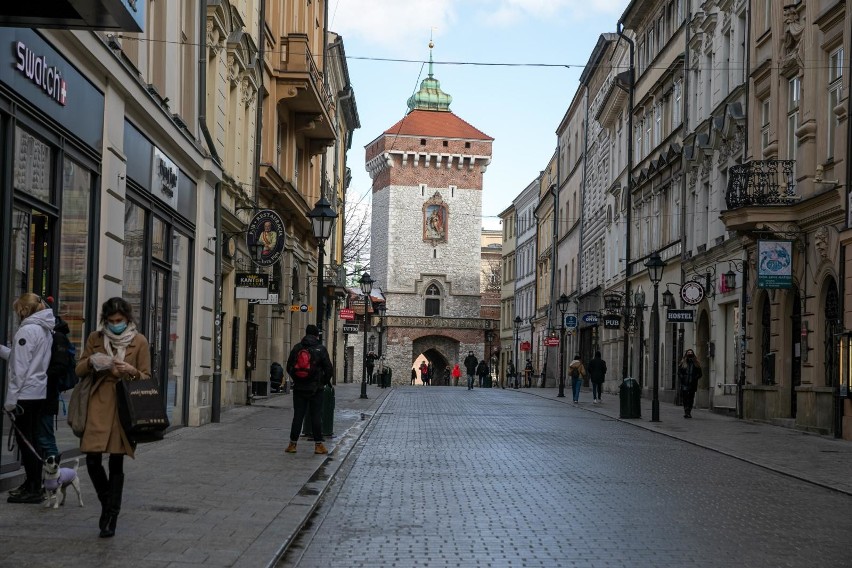 Mimo pandemii, w całej Małopolsce przybyło firm. Najwięcej w...