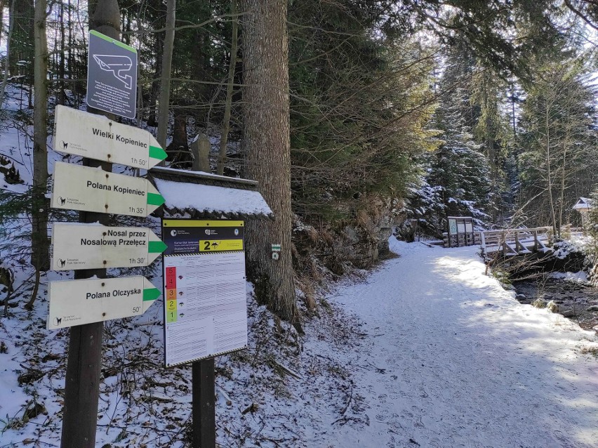 Tatrzański Park Narodowy chce budować "kamper park". Bo zrobiła się moda na kampery