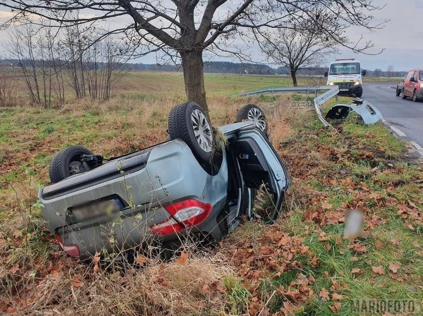 Dachowanie w Kotorzu Małym.