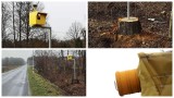 Na drodze pod Olesnem stanął taki oto fotoradar. Zamontowano go na pieńku po wyciętym drzewie!