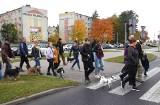 Parada psów i "psia" impreza w Galerii Solnej w Inowrocławiu. Z okazji Dnia Kundelka