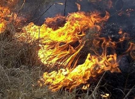 Płonęły trawy w Słupsku. (Zdjęcie poglądowe).