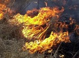 Płonęły trawy w Słupsku