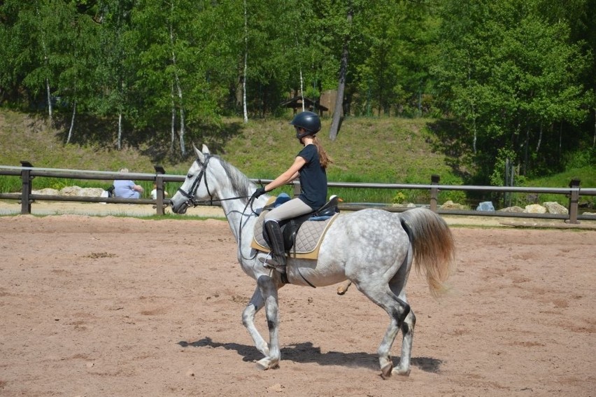 W Bałtowie rusza kurs jazdy konnej