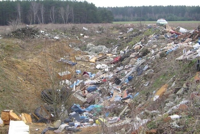 Strażnicy miejscy wystąpili, by ANR posprzątała teren pod lasem, będą pilnować, by działkowcy nie dowozili tam śmieci.