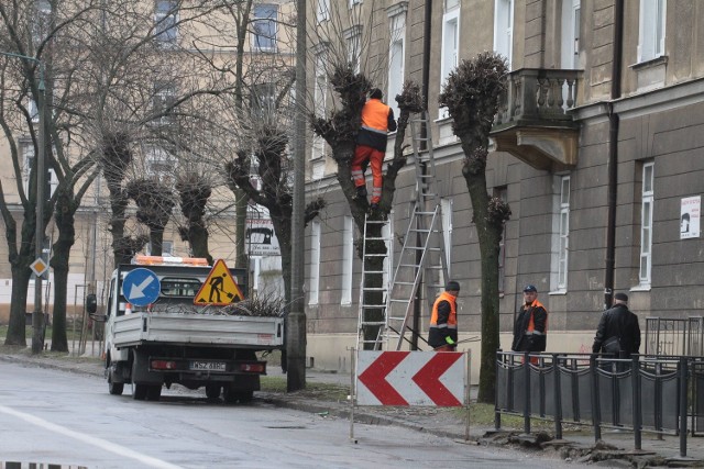 We wtorek rano pracownicy Miejskiego Zarządu Dróg i Komunikacji w Radomiu przycinali gałęzie w pasie drogowym.