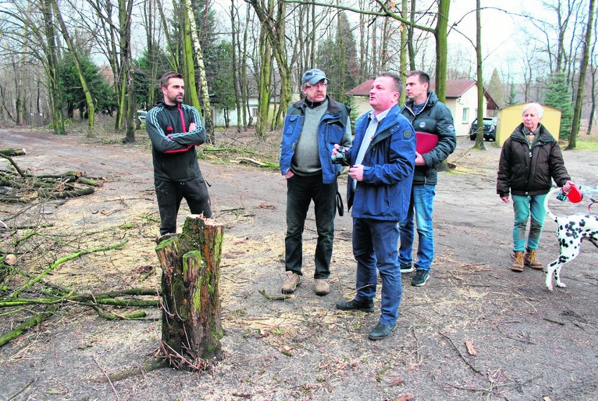 Waldemar Dziadowiec (po lewej) wycinając drzewa nie złamał...