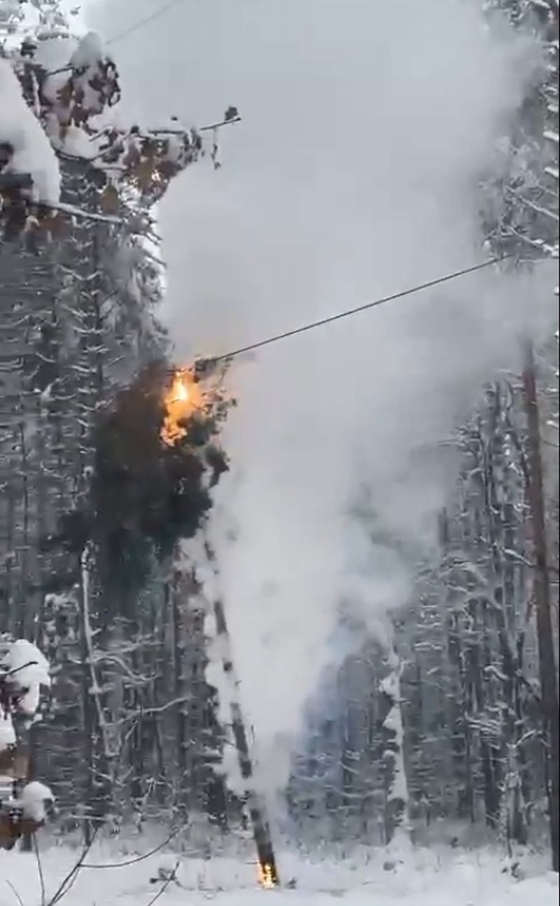 Pożar drzewa przy linii energetycznej pod Opolem.