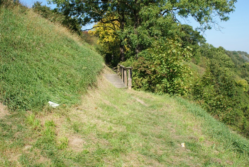 Na stokach Diabelców koło Świecia nad Wisłą urządzono kładki...