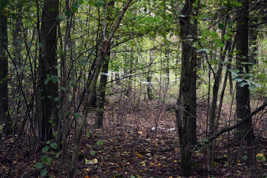 Dzisiaj (sobota) rano patrol saperski z Lęborka zabrał...