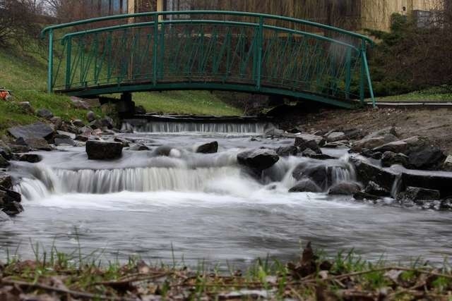 Wymagający naprawy Mostek nad strugą toruńską znajduje się w jednym z najurokliwszych zakątków nie tylko Doliny Marzeń, ale całego Torunia