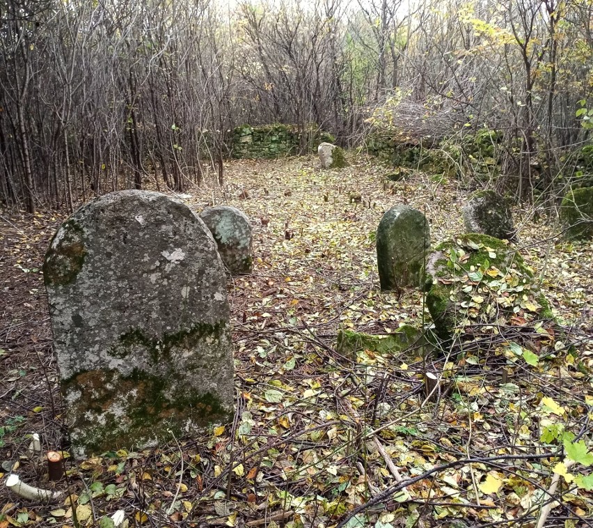 Akcja sprzątania cmentarza żydowskiego w Małogoszczu.