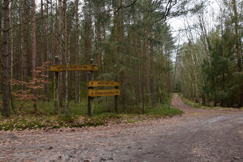 Jezioro Dołgie Wielkie ma powierzchnię 156 hektarów,...