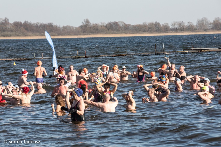 Stargardzki Klub Morsów Miedwianie zakończył sezon zimnych kąpieli [ZDJĘCIA, WIDEO]