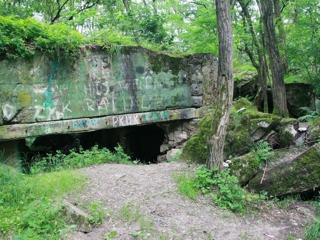 Jeden z bunkrów grupy warownej Schill koło Kurska.