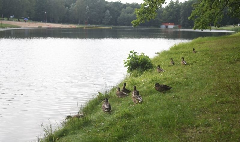 W Arturówku długi weekend nie udał się zbyt dobrze  [zdjęcia]