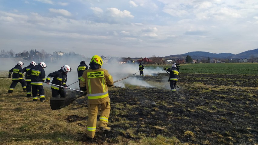 Już przeszło 300 razy strażacy na Podkarpaciu wyjeżdżali w marcu do pożarów traw na łąkach, polach, nieużytkach! [WIDEO]