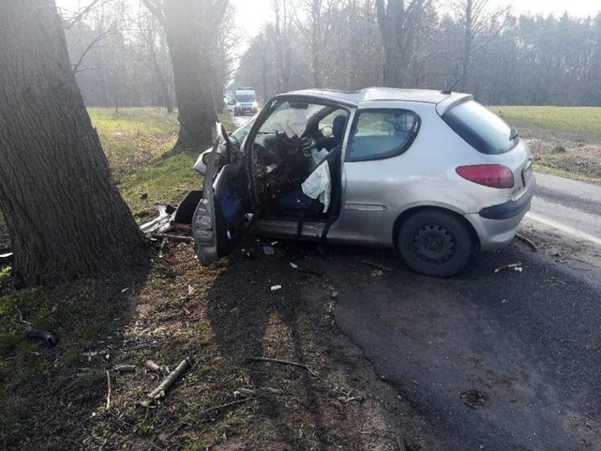 Kierowca peugeota trafił do szpitala w Zielonej Górze.