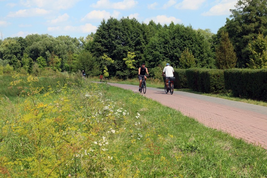 Nowy park nad Bystrzycą. Na początek powstanie ścieżka rowerowa i plaże