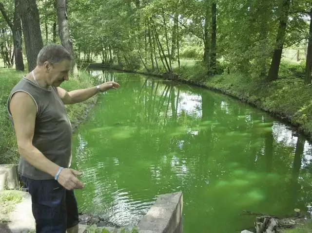 Walenty Niwiński był zszokowany niesamowitym, zielonym kolorem wody. Jak się okazało, dostały się do niej pomyłkowo związki chemiczne. Na szczęście nie są szkodliwe dla zdrowia.