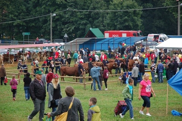 Agropromocja 2016. Zobacz program imprezyAgropromocja przyciąga co roku tysiące rolników