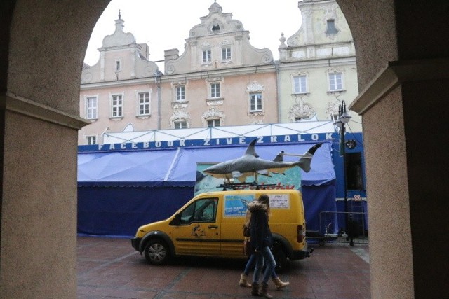 Rekinarium stoi na opolskim Rynku.