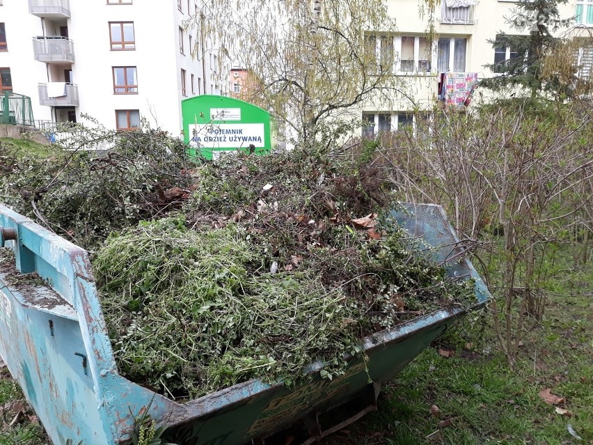 Na osiedlu Piastowskim w Szczecnie tną krzaki, mimo że już kwitną